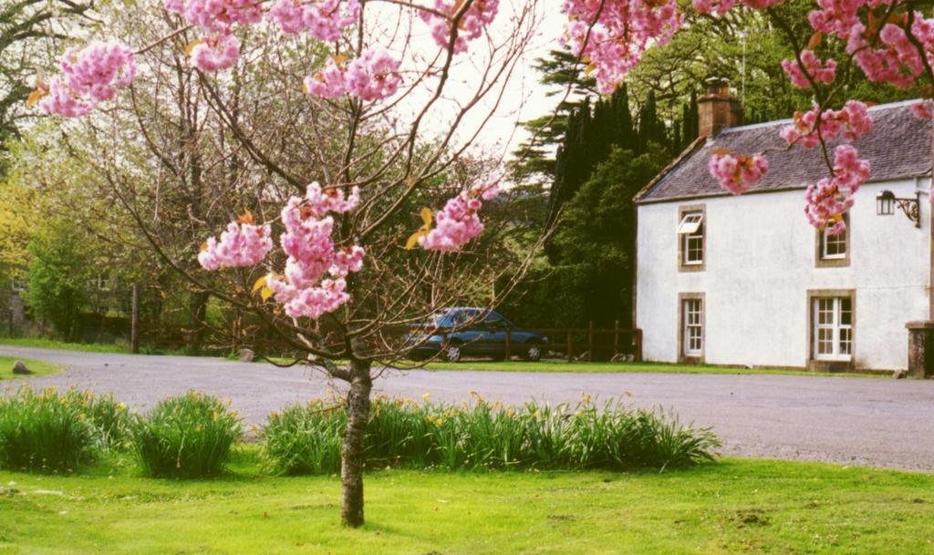 Inverawe Cottages Taynuilt Δωμάτιο φωτογραφία