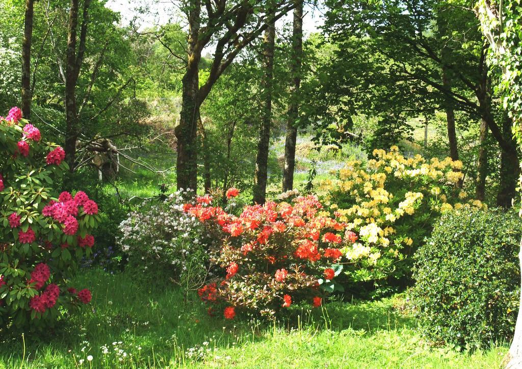 Inverawe Cottages Taynuilt Εξωτερικό φωτογραφία